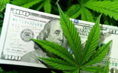 Confia Invites Cannabis Entrepreneurs to Browse Expanded Offering – Confia
