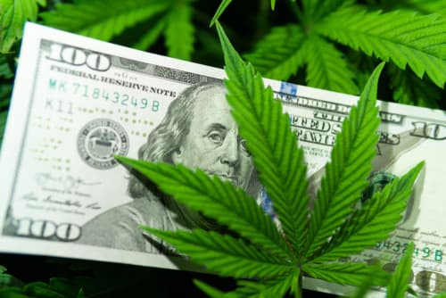 Confia Invites Cannabis Entrepreneurs to Browse Expanded Offering – Confia