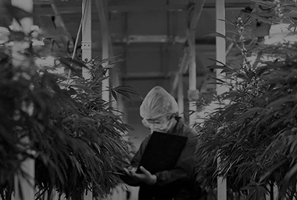 Confia Announces Attendance at Marijuana Business Conference 2021 in Las Vegas