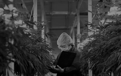 Confia Announces Attendance at Marijuana Business Conference 2021 in Las Vegas