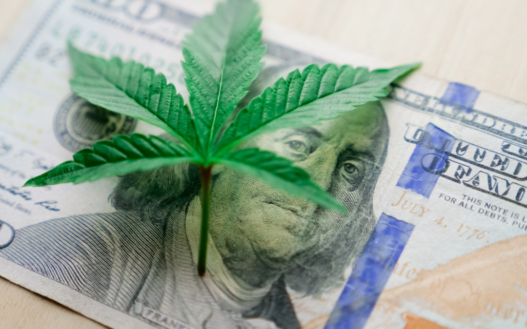 What Are Cannabis Business Models | Dispensary Commerce Services