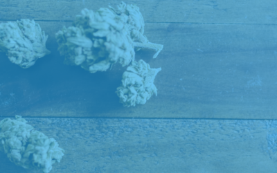 Confia Helps Clients Overcome Marijuana Commerce Challenges – Confia